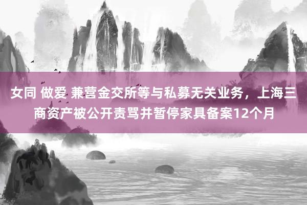 女同 做爱 兼营金交所等与私募无关业务，上海三商资产被公开责骂并暂停家具备案12个月