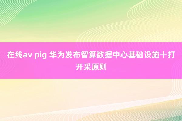 在线av pig 华为发布智算数据中心基础设施十打开采原则