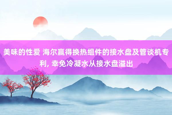 美味的性爱 海尔赢得换热组件的接水盘及管谈机专利， 幸免冷凝水从接水盘溢出