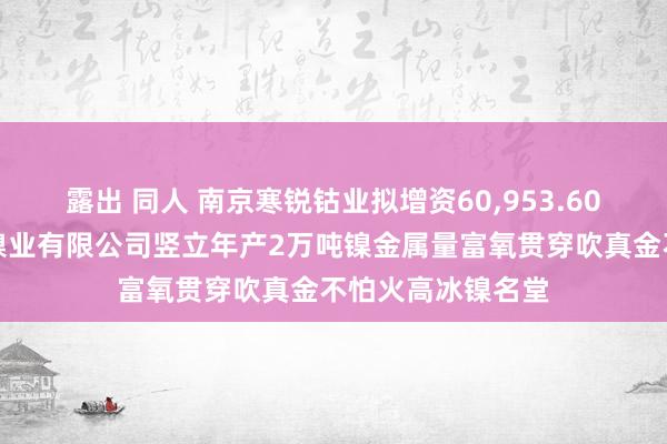 露出 同人 南京寒锐钴业拟增资60，953.60万元至印尼寒锐镍业有限公司竖立年产2万吨镍金属量富氧贯穿吹真金不怕火高冰镍名堂