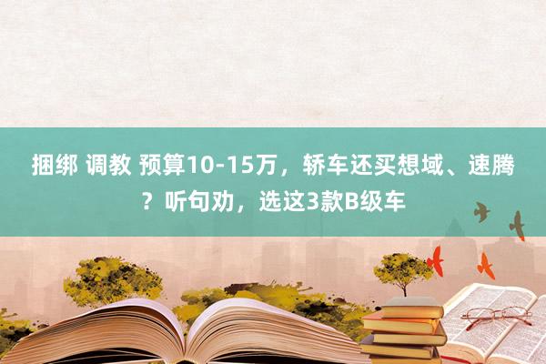 捆绑 调教 预算10-15万，轿车还买想域、速腾？听句劝，选这3款B级车