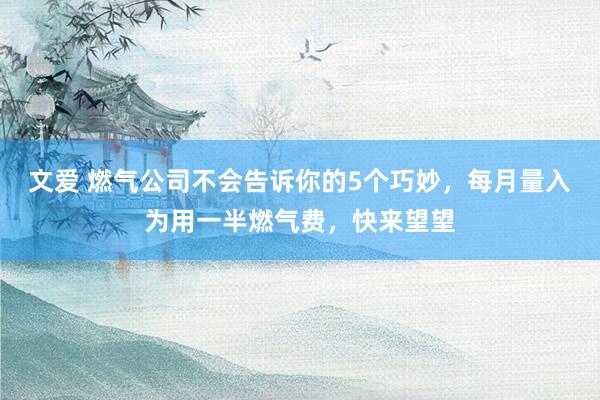 文爱 燃气公司不会告诉你的5个巧妙，每月量入为用一半燃气费，快来望望