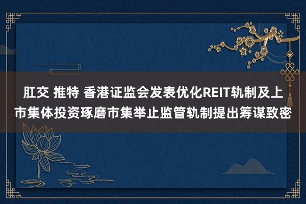 肛交 推特 香港证监会发表优化REIT轨制及上市集体投资琢磨市集举止监管轨制提出筹谋致密