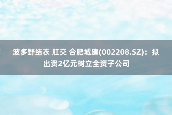 波多野结衣 肛交 合肥城建(002208.SZ)：拟出资2亿元树立全资子公司