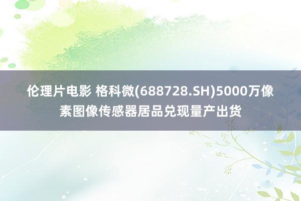 伦理片电影 格科微(688728.SH)5000万像素图像传感器居品兑现量产出货