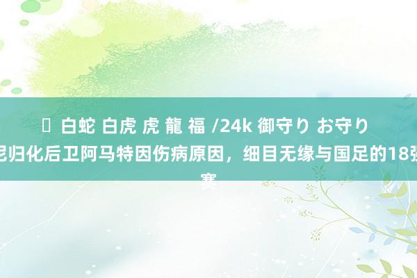 ✨白蛇 白虎 虎 龍 福 /24k 御守り お守り 印尼归化后卫阿马特因伤病原因，细目无缘与国足的18强赛