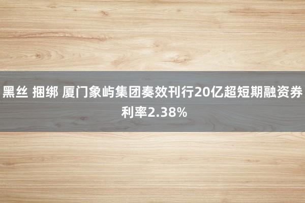 黑丝 捆绑 厦门象屿集团奏效刊行20亿超短期融资券 利率2.38%