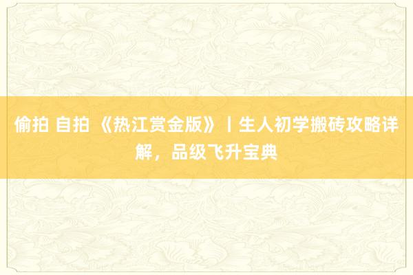 偷拍 自拍 《热江赏金版》丨生人初学搬砖攻略详解，品级飞升宝典