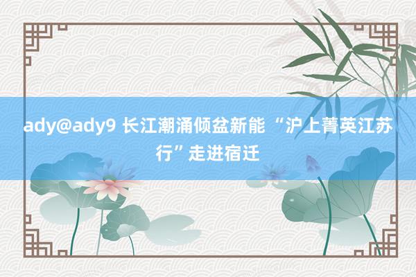 ady@ady9 长江潮涌倾盆新能 “沪上菁英江苏行”走进宿迁