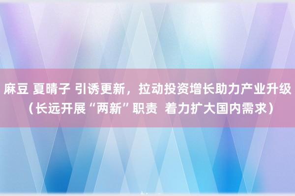 麻豆 夏晴子 引诱更新，拉动投资增长助力产业升级（长远开展“两新”职责  着力扩大国内需求）