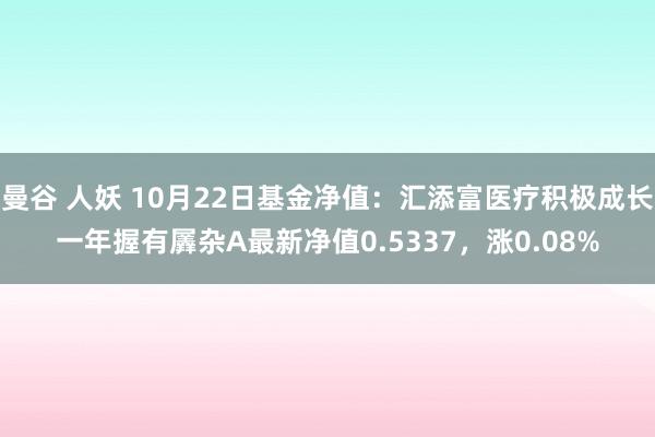 曼谷 人妖 10月22日基金净值：汇添富医疗积极成长一年握有羼杂A最新净值0.5337，涨0.08%