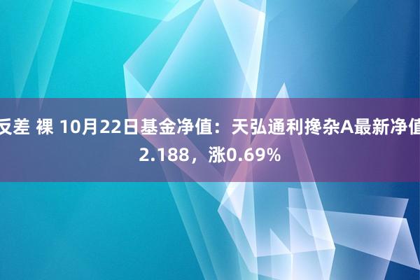 反差 裸 10月22日基金净值：天弘通利搀杂A最新净值2.188，涨0.69%