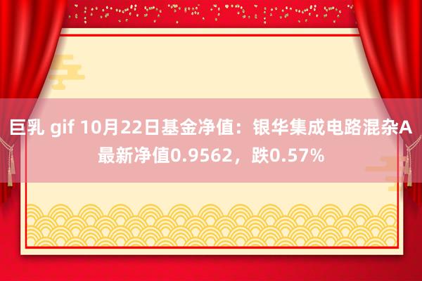 巨乳 gif 10月22日基金净值：银华集成电路混杂A最新净值0.9562，跌0.57%