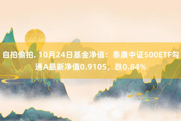 自拍偷拍. 10月24日基金净值：泰康中证500ETF勾通A最新净值0.9105，跌0.84%