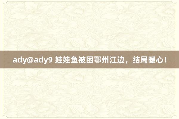 ady@ady9 娃娃鱼被困鄂州江边，结局暖心！