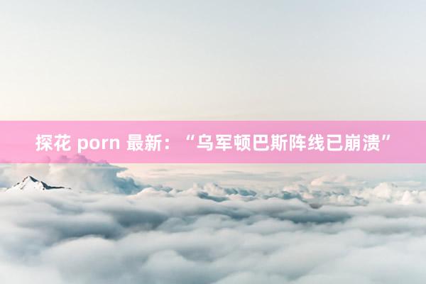 探花 porn 最新：“乌军顿巴斯阵线已崩溃”