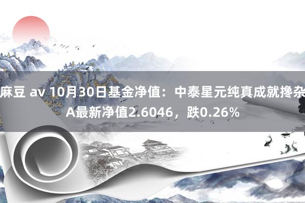 麻豆 av 10月30日基金净值：中泰星元纯真成就搀杂A最新净值2.6046，跌0.26%