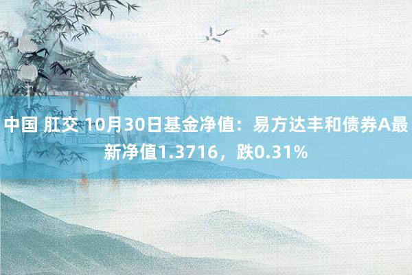 中国 肛交 10月30日基金净值：易方达丰和债券A最新净值1.3716，跌0.31%