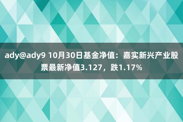 ady@ady9 10月30日基金净值：嘉实新兴产业股票最新净值3.127，跌1.17%