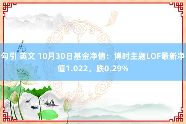 勾引 英文 10月30日基金净值：博时主题LOF最新净值1.022，跌0.29%