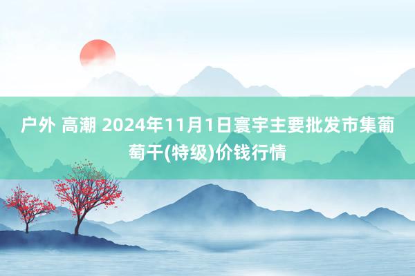 户外 高潮 2024年11月1日寰宇主要批发市集葡萄干(特级)价钱行情