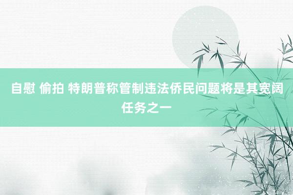 自慰 偷拍 特朗普称管制违法侨民问题将是其宽阔任务之一