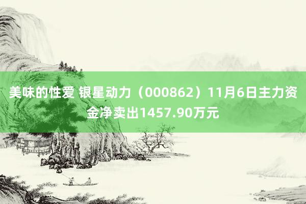 美味的性爱 银星动力（000862）11月6日主力资金净卖出1457.90万元