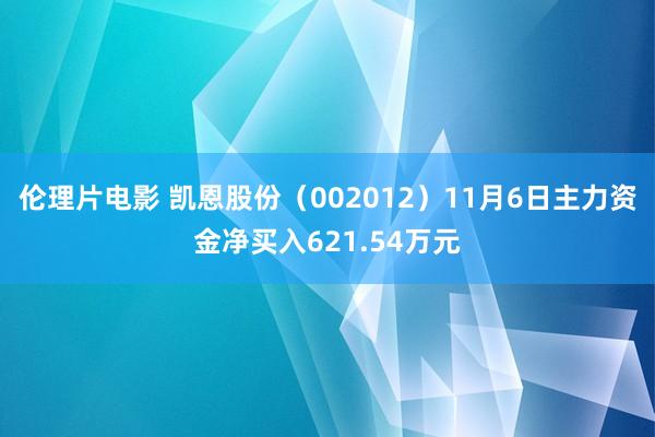 伦理片电影 凯恩股份（002012）11月6日主力资金净买入621.54万元