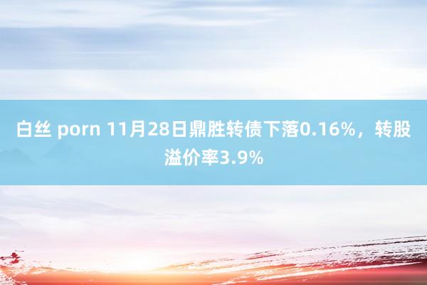 白丝 porn 11月28日鼎胜转债下落0.16%，转股溢价率3.9%