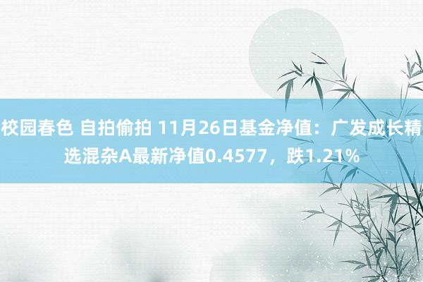 校园春色 自拍偷拍 11月26日基金净值：广发成长精选混杂A最新净值0.4577，跌1.21%