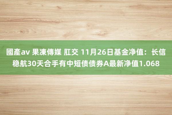 國產av 果凍傳媒 肛交 11月26日基金净值：长信稳航30天合手有中短债债券A最新净值1.068