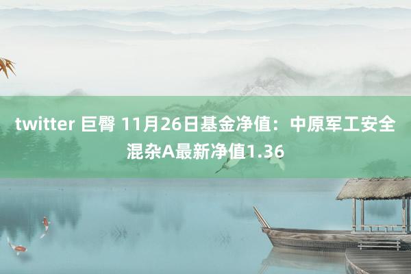 twitter 巨臀 11月26日基金净值：中原军工安全混杂A最新净值1.36