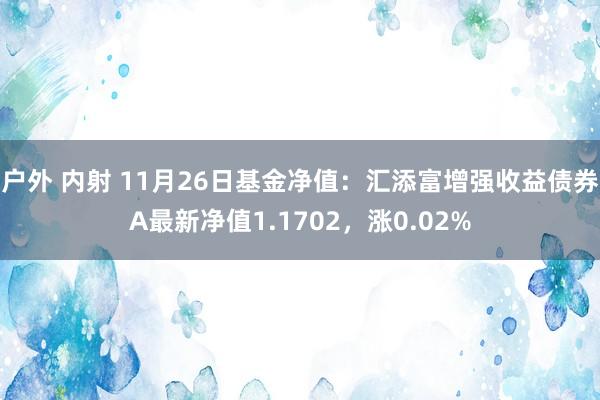 户外 内射 11月26日基金净值：汇添富增强收益债券A最新净值1.1702，涨0.02%