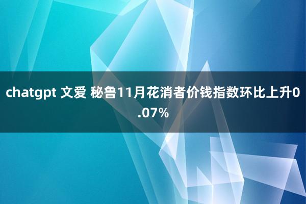 chatgpt 文爱 秘鲁11月花消者价钱指数环比上升0.07%