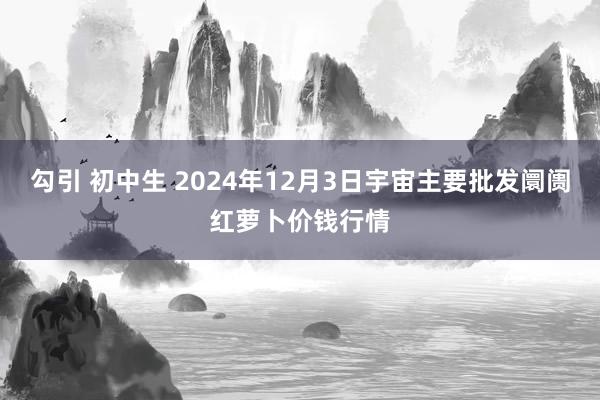 勾引 初中生 2024年12月3日宇宙主要批发阛阓红萝卜价钱行情