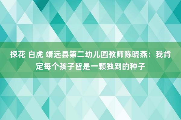 探花 白虎 靖远县第二幼儿园教师陈晓燕：我肯定每个孩子皆是一颗独到的种子