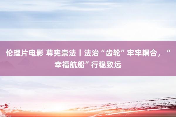 伦理片电影 尊宪崇法丨法治“齿轮”牢牢耦合，“幸福航船”行稳致远