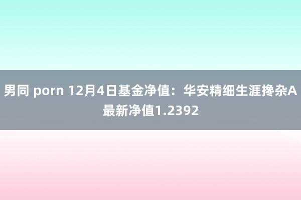 男同 porn 12月4日基金净值：华安精细生涯搀杂A最新净值1.2392