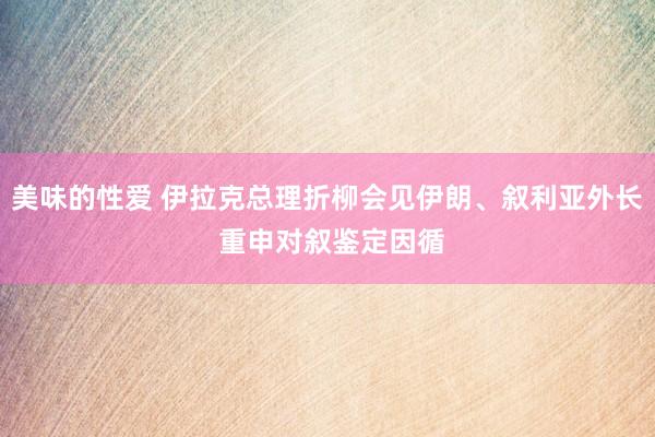 美味的性爱 伊拉克总理折柳会见伊朗、叙利亚外长 重申对叙鉴定因循