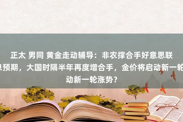 正太 男同 黄金走动辅导：非农撑合手好意思联储降息预期，大国时隔半年再度增合手，金价将启动新一轮涨势？