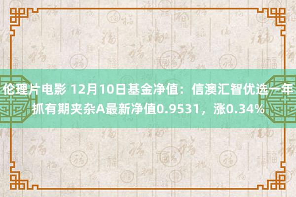 伦理片电影 12月10日基金净值：信澳汇智优选一年抓有期夹杂A最新净值0.9531，涨0.34%