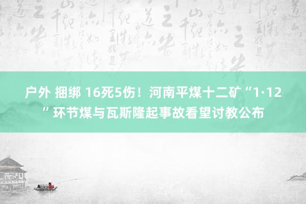 户外 捆绑 16死5伤！河南平煤十二矿“1·12”环节煤与瓦斯隆起事故看望讨教公布