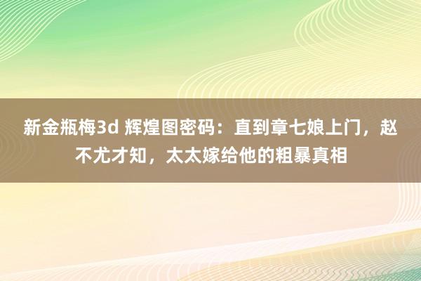 新金瓶梅3d 辉煌图密码：直到章七娘上门，赵不尤才知，太太嫁给他的粗暴真相