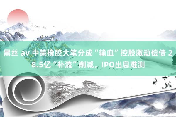 黑丝 av 中策橡胶大笔分成“输血”控股激动偿债 28.5亿“补流”削减，IPO出息难测