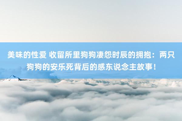 美味的性爱 收留所里狗狗凄怨时辰的拥抱：两只狗狗的安乐死背后的感东说念主故事！