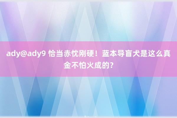 ady@ady9 恰当赤忱刚硬！蓝本导盲犬是这么真金不怕火成的？