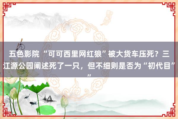 五色影院 “可可西里网红狼”被大货车压死？三江源公园阐述死了一只，但不细则是否为“初代目”