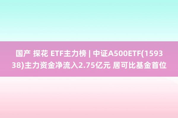 国产 探花 ETF主力榜 | 中证A500ETF(159338)主力资金净流入2.75亿元 居可比基金首位