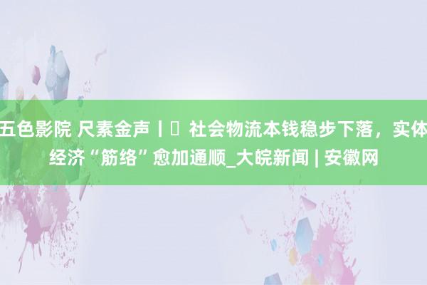 五色影院 尺素金声丨​社会物流本钱稳步下落，实体经济“筋络”愈加通顺_大皖新闻 | 安徽网