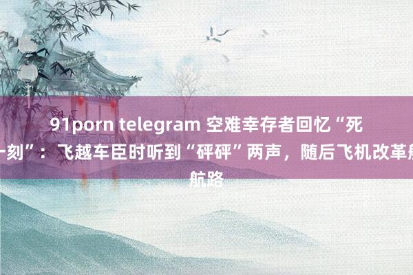 91porn telegram 空难幸存者回忆“死活一刻”：飞越车臣时听到“砰砰”两声，随后飞机改革航路